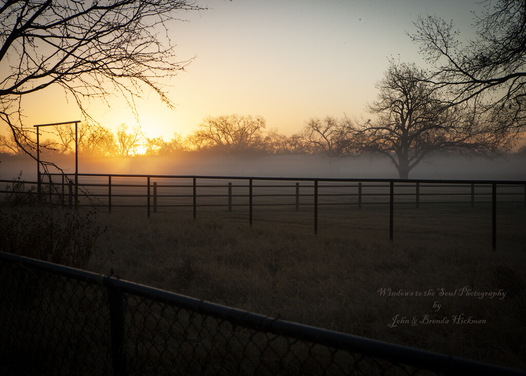 Foggy Morning Sunrise by swwoman