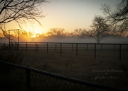 9th Jan 2023 - Foggy Morning Sunrise