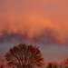 January sunset by larrysphotos