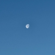 11th Jan 2023 - 84% morning Moon