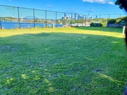11th Jan 2023 - Possibly one of the worst grass tennis courts in Sydney with probably one of best views!!