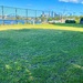 Possibly one of the worst grass tennis courts in Sydney with probably one of best views!! by johnfalconer