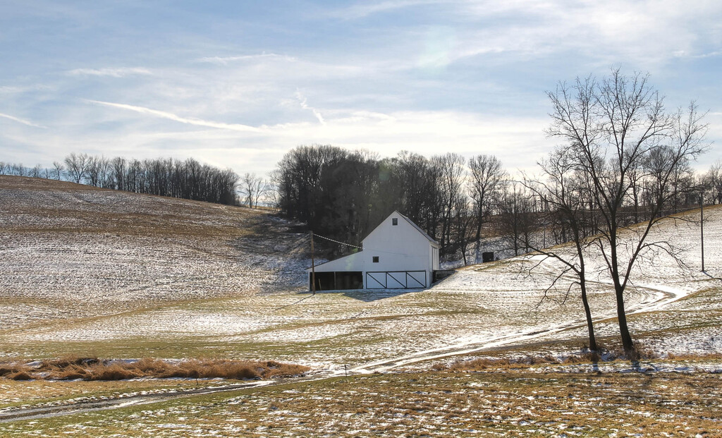 A farm in winter by mittens