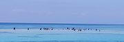 11th Jan 2023 - White Island in the Red Sea