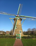 11th Jan 2023 - Dutch