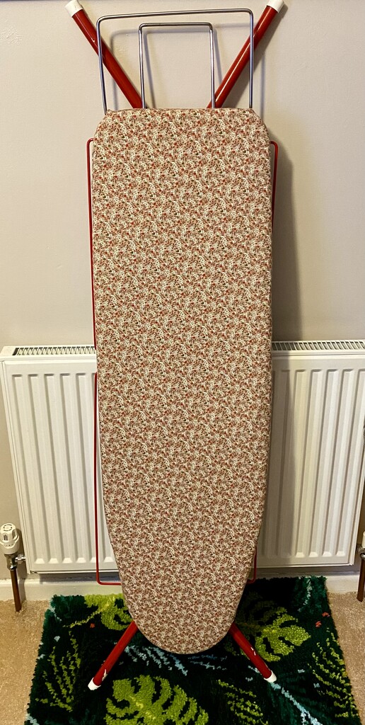 Ironing Board by gillian1912