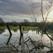 Attenborough Nature Reserve by 365nick