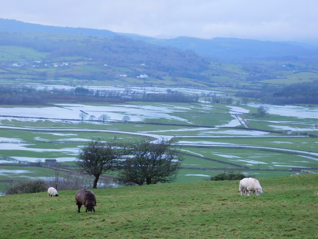 Lyth Valley by anniesue