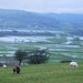 Lyth Valley by anniesue