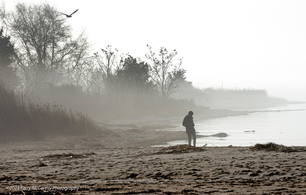 Solitude in the fog by mccarth1