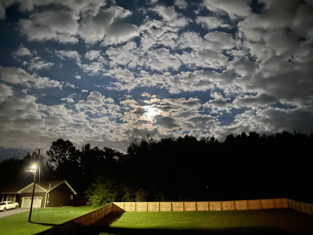 Night Sky by msfyste