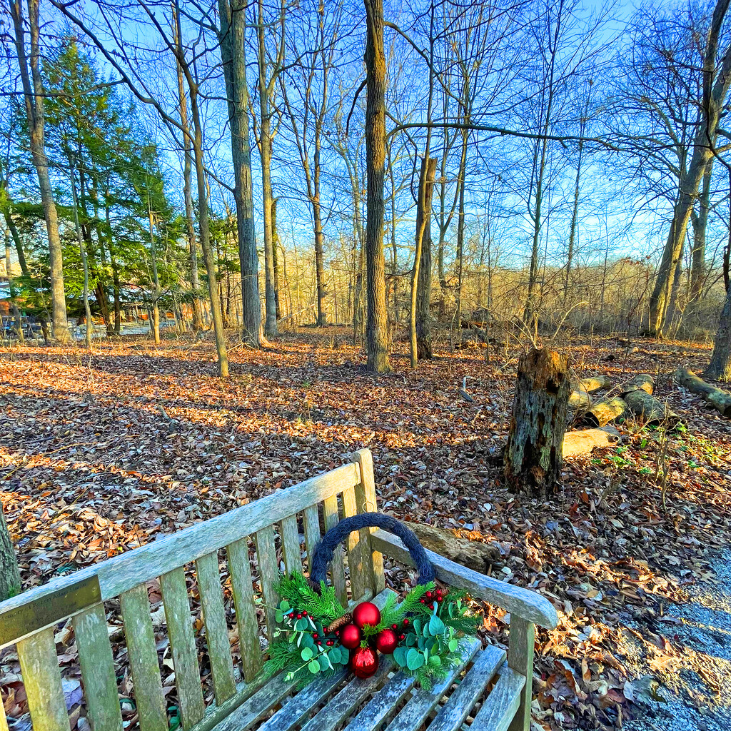 The Wreath & The Bench by yogiw