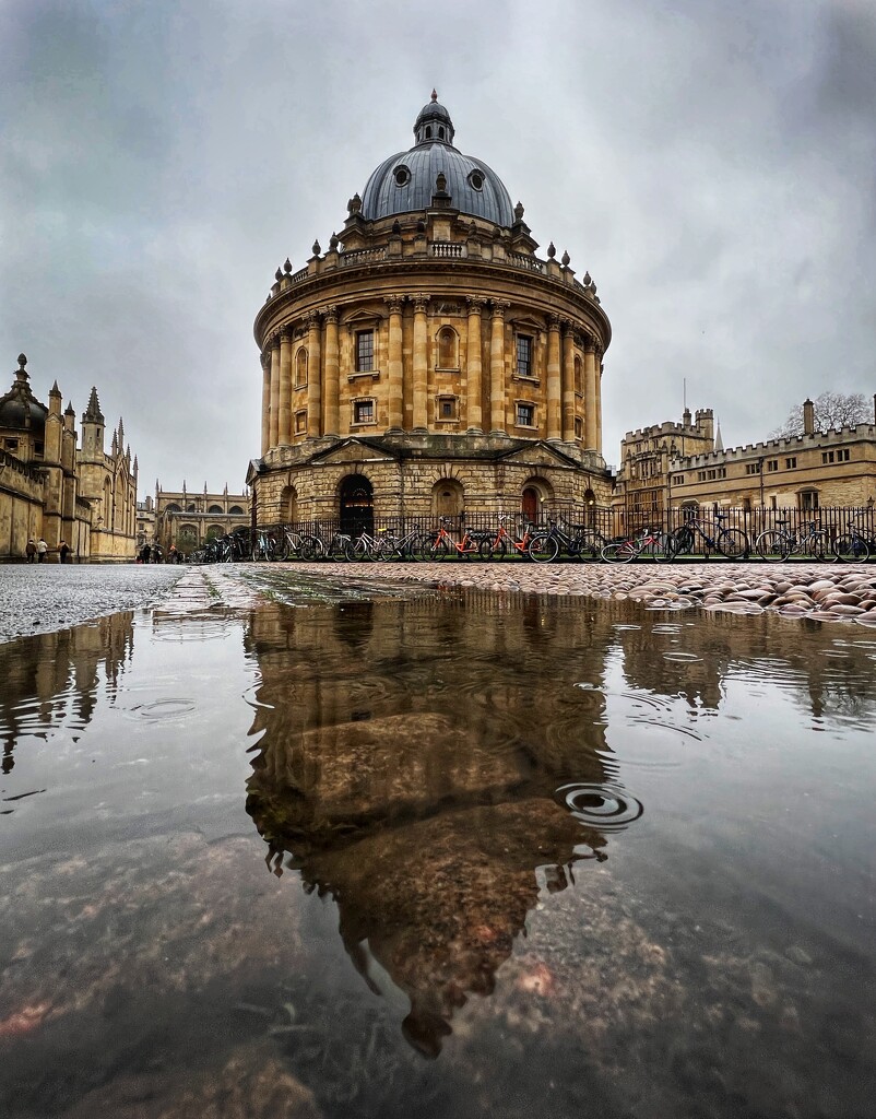 Wet Oxford  by gaillambert