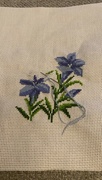 12th Jan 2023 - Embroidery