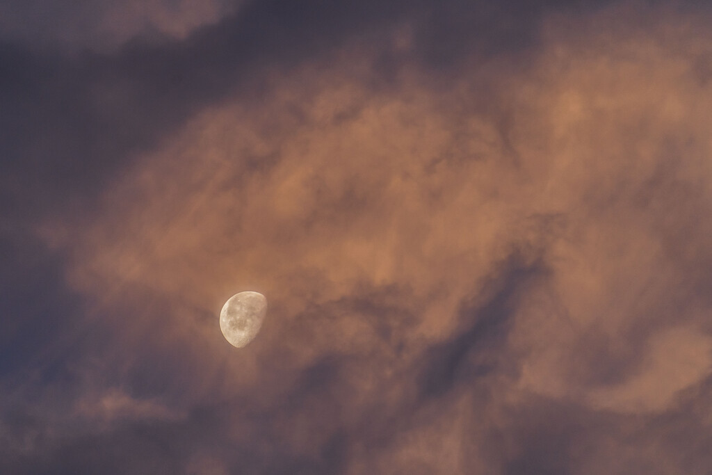 72% Waxing Gibbous Moon by kvphoto