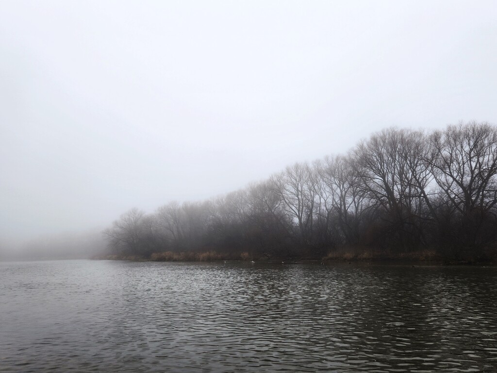Fog covers the riverbank by ljmanning