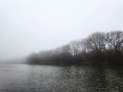 12th Jan 2023 - Fog covers the riverbank
