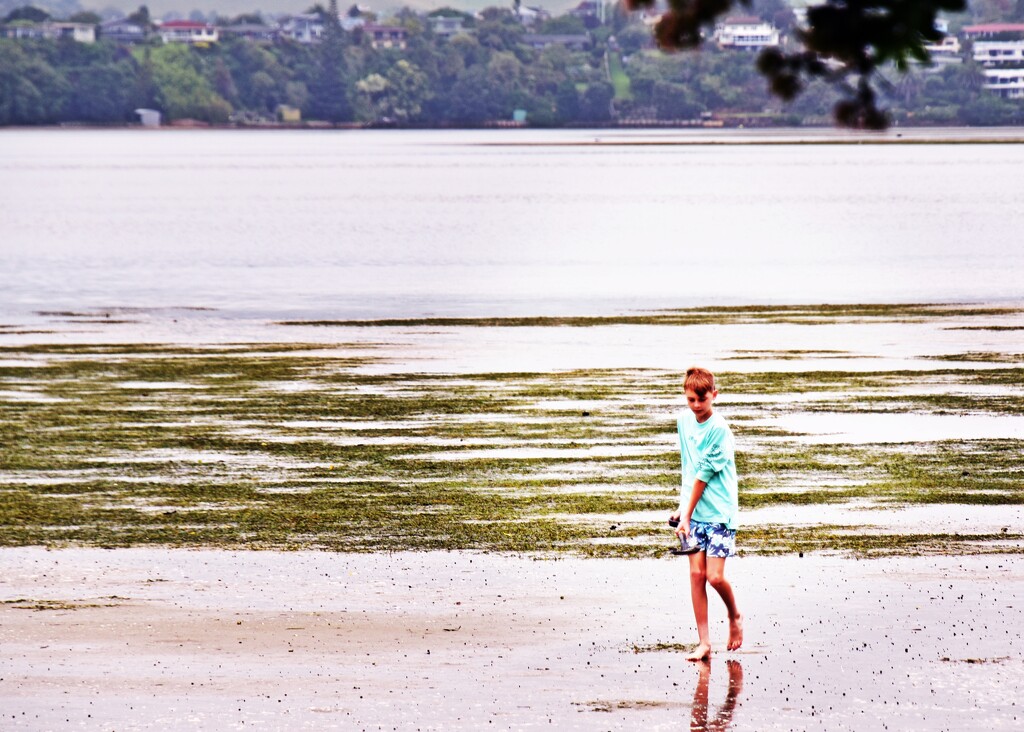Boy on Estuary by sandradavies