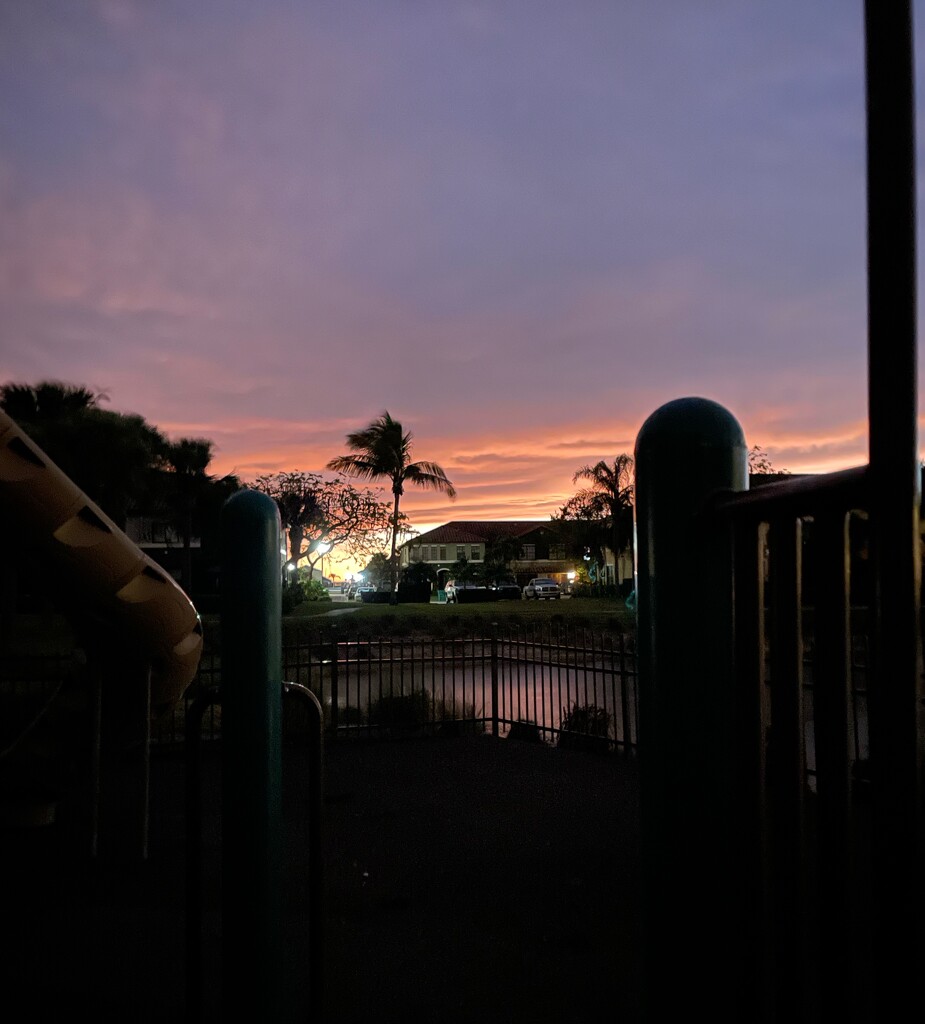 Playground View by wilkinscd