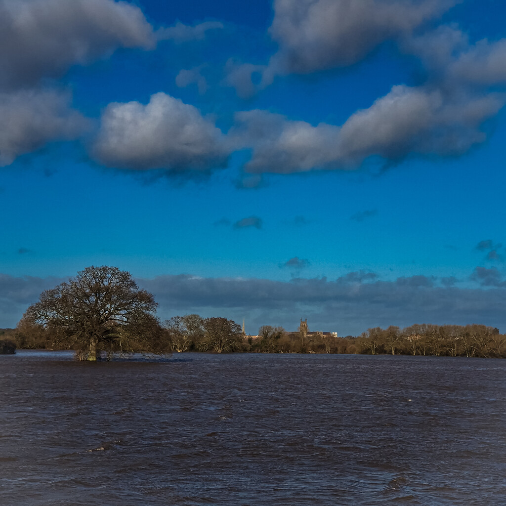 View across the floods to Worcester cathedral  by andyharrisonphotos