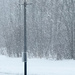 Snow again by cheerfulcusp