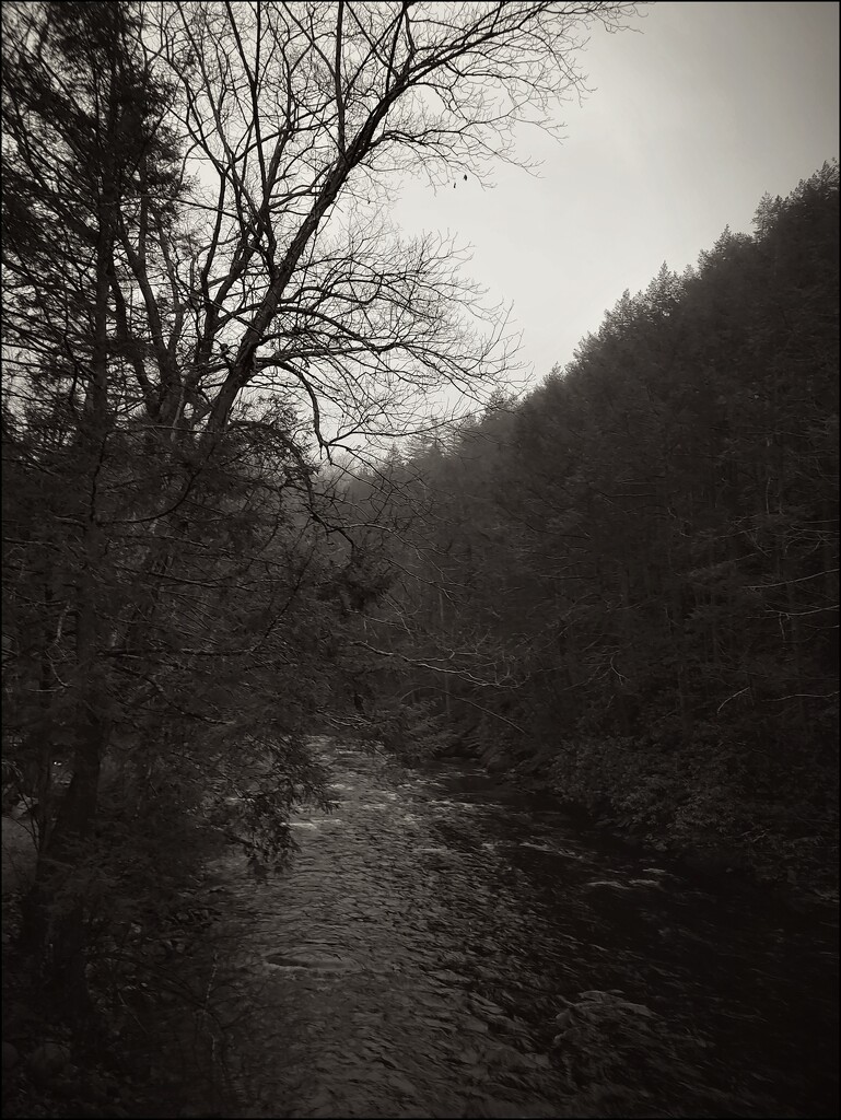 Dreary Day at the Bushkill Creek by olivetreeann