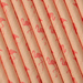 flamingo straws by summerfield