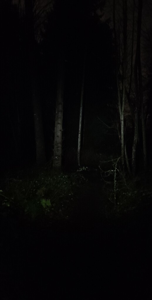 Night walk by labpotter