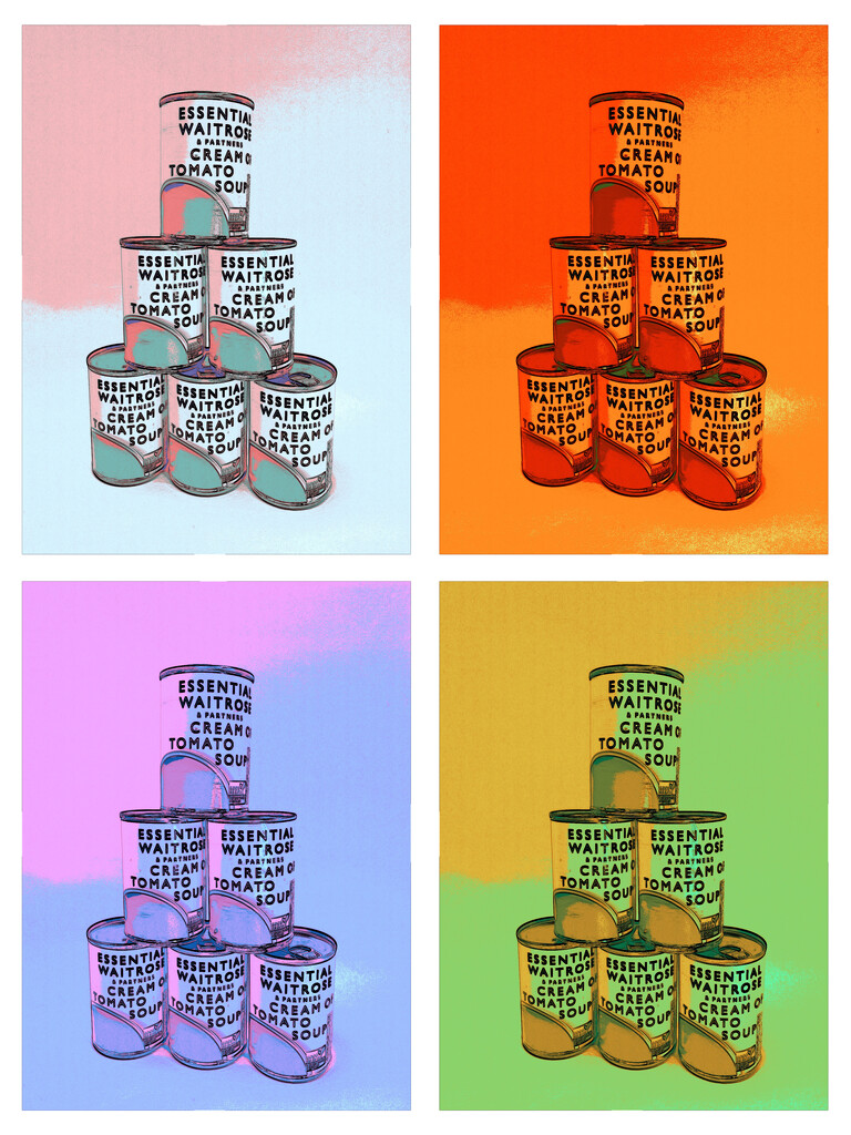 Middle Class Warhol by jlmather