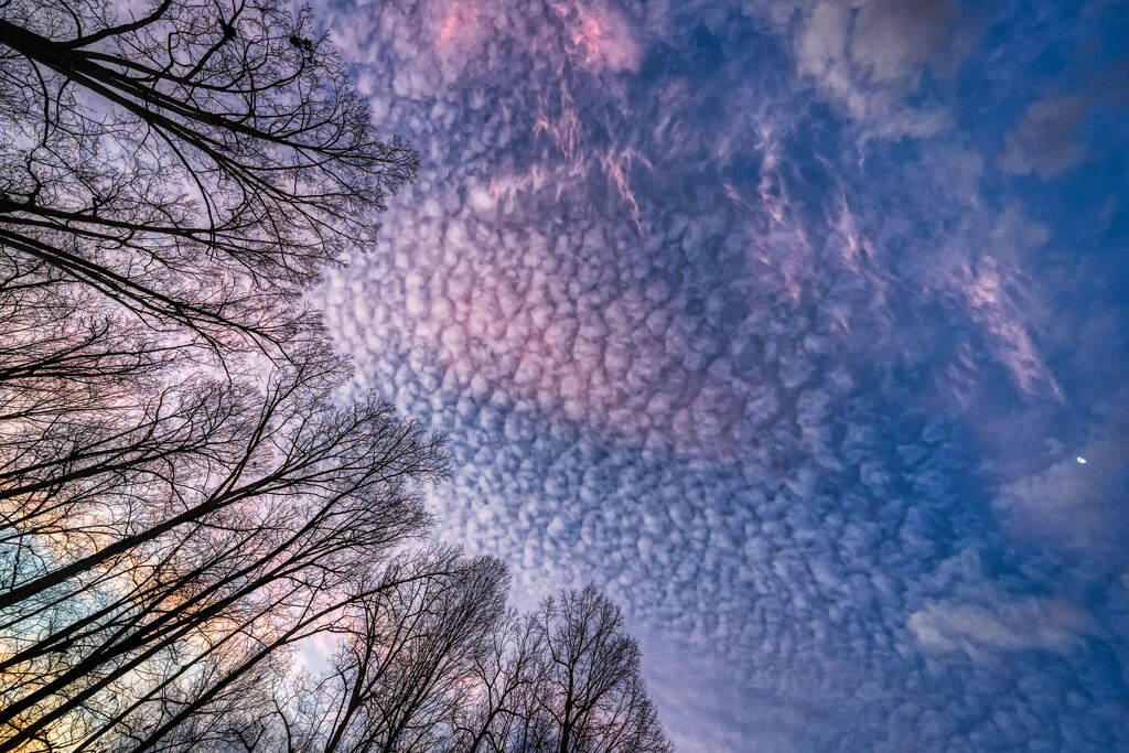 Cloudscape by kvphoto
