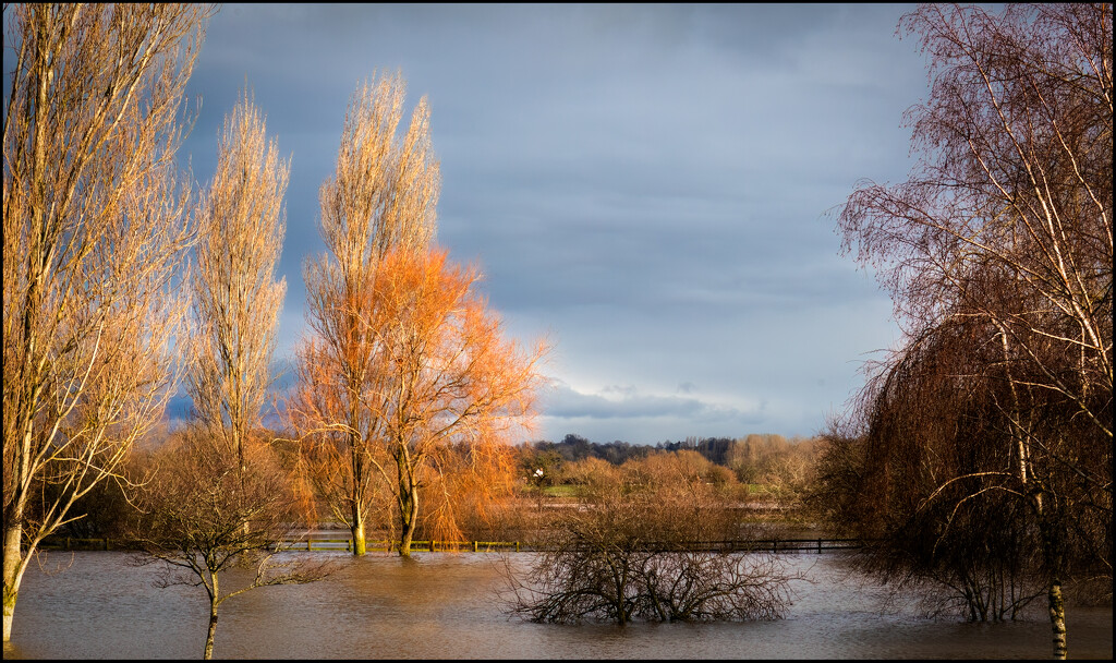 Flooding the fields by clifford
