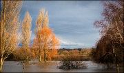 14th Jan 2023 - Flooding the fields