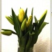 A bunch tulips  by beryl