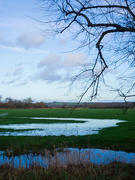 13th Jan 2023 - Watermeadows in Mill Road