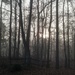 A foggy Carolina morning... by marlboromaam