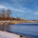 Humber Bay Swans by pdulis