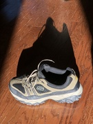 11th Jan 2023 - Shoe and its shadow 