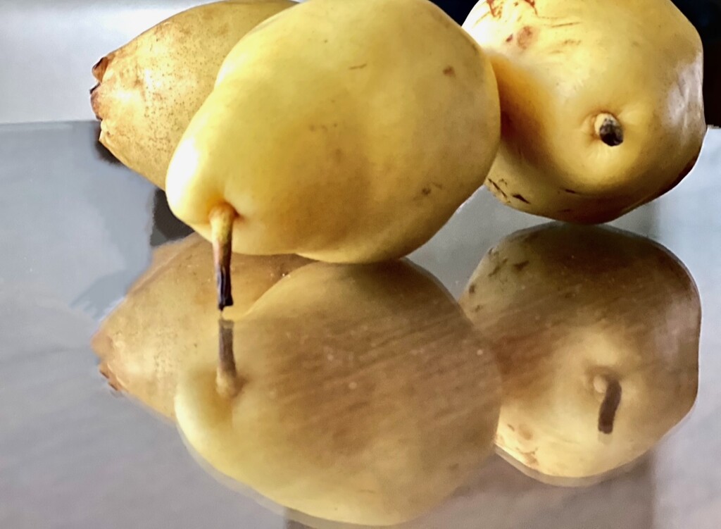 Still pears  by rensala