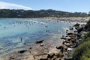 16th Jan 2023 - Harbord Beach (or Freshwater Beach) in Sydney. 