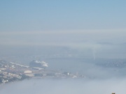 15th Jan 2023 - In the rising fog