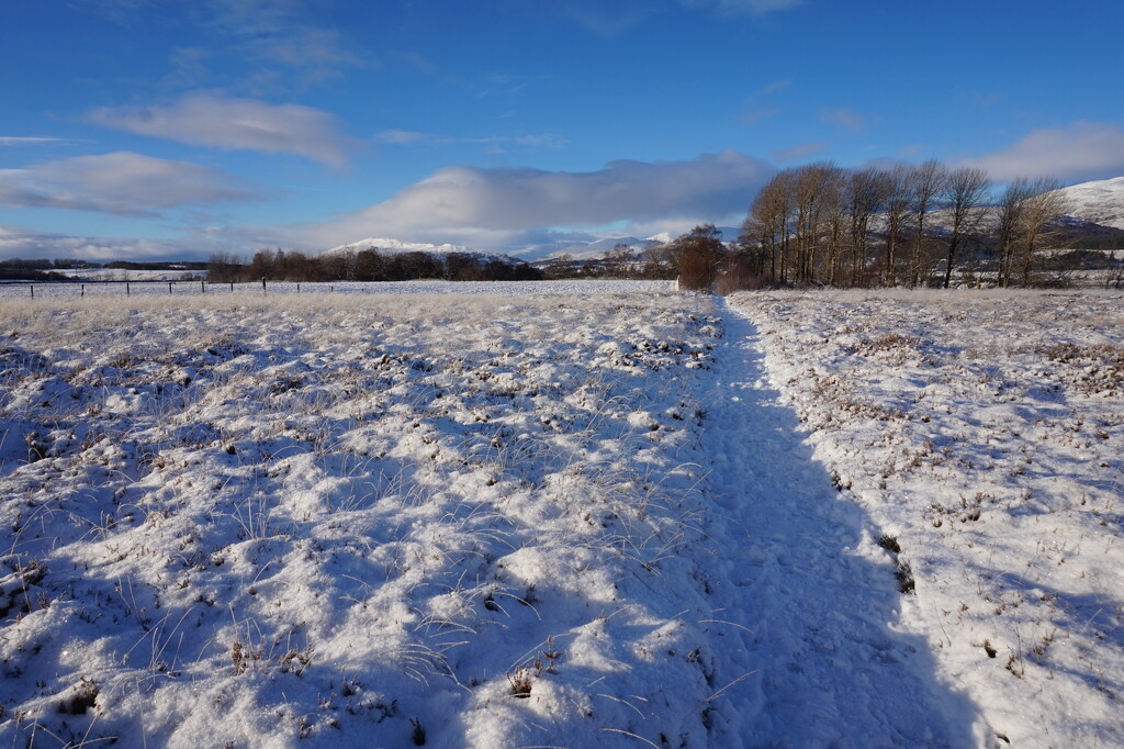 Jan 3rd Path across a snowy field by valpetersen