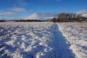 3rd Jan 2023 - Jan 3rd Path across a snowy field