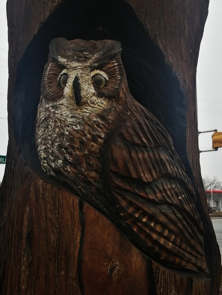 Carved Owl  by princessicajessica