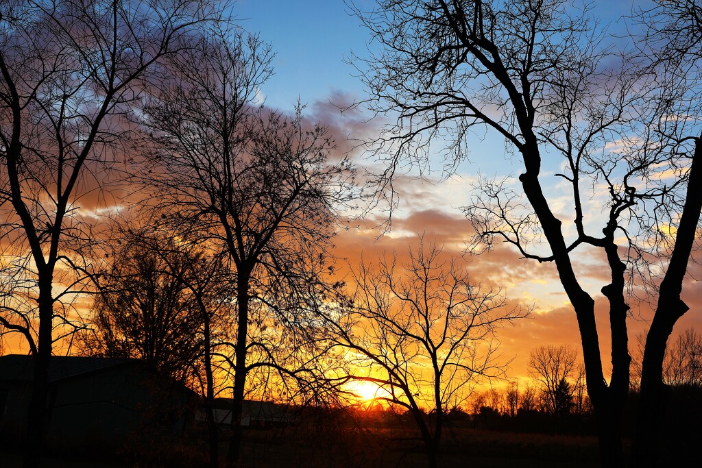 Winter Sunset by lynnz