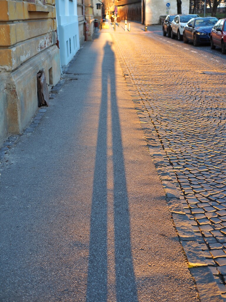 Why the long shadow? by monikozi