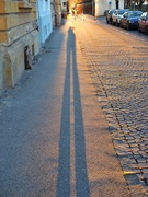 16th Jan 2023 - Why the long shadow?