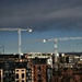 city cranes by christophercox