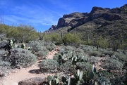 16th Jan 2023 - Linda Vista Trail, Arizona