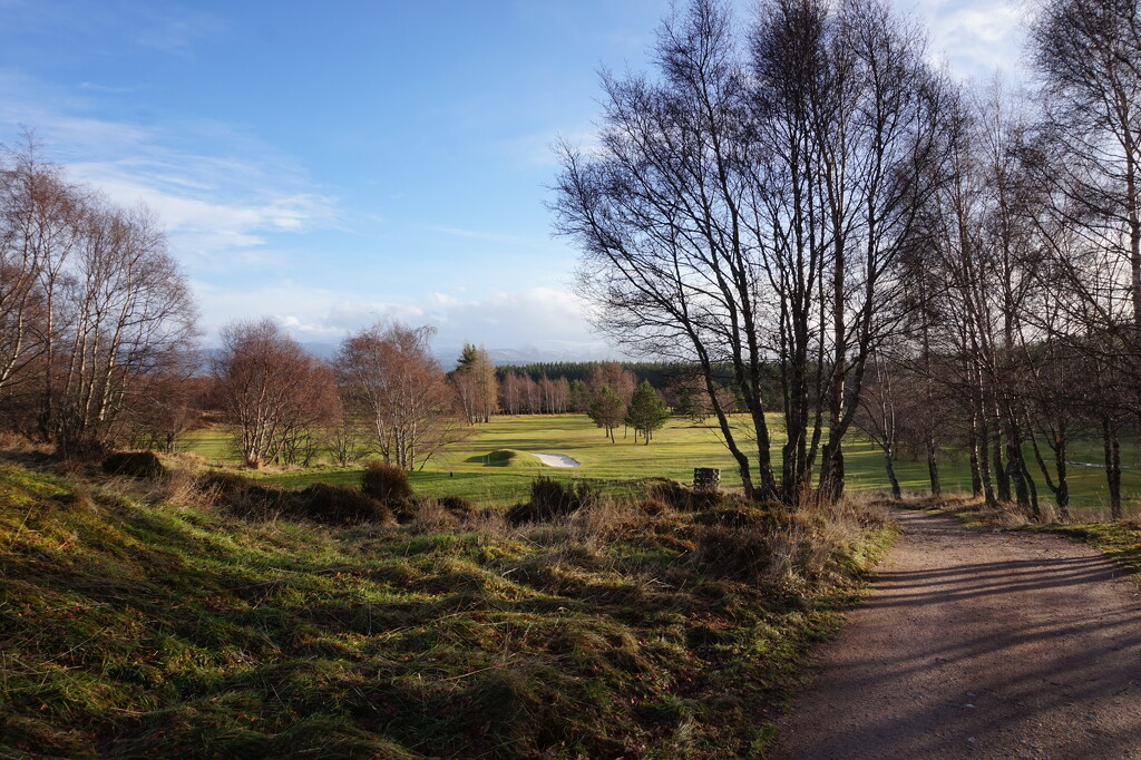 Jan 9th Golf Course by valpetersen