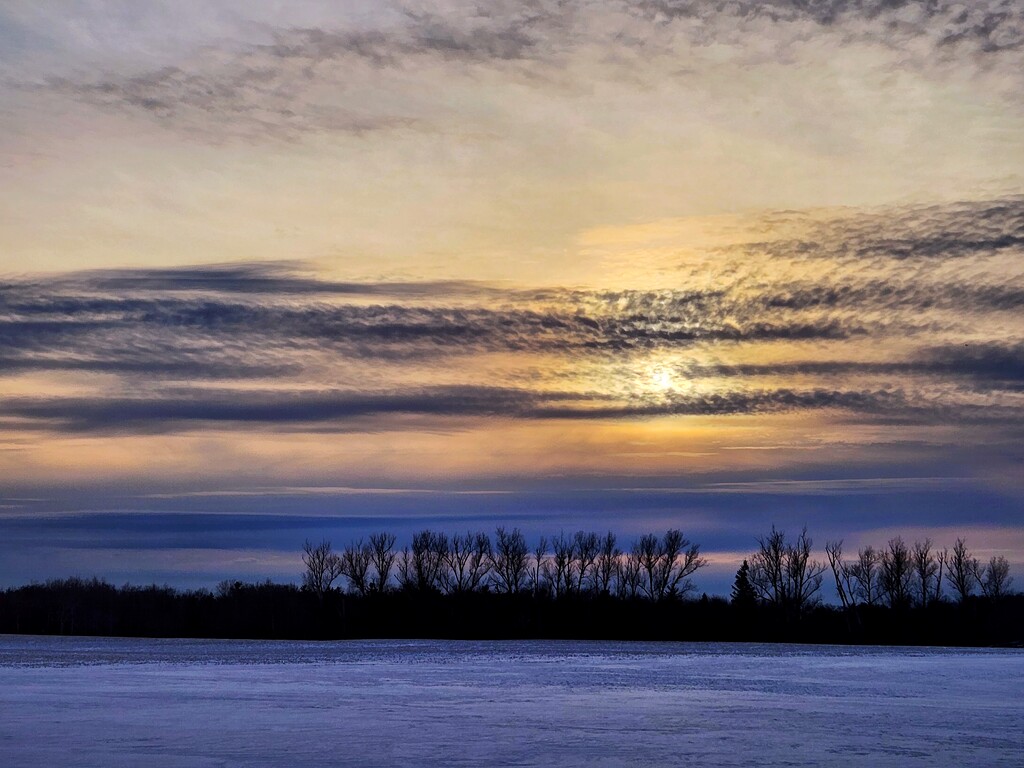 Winter light by ljmanning